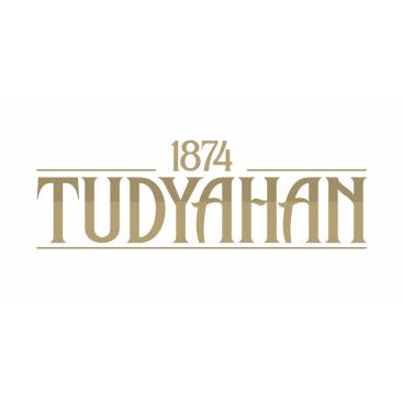 tudyahan 1874 yarışmasına tasarımcı Cansusah tarafından sunulan  tasarım 