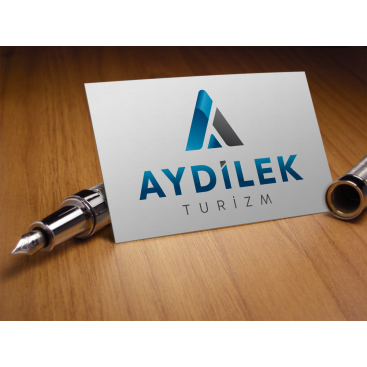 TURİZM TAŞIMA FİRMAMIZA LOGO VE KURUMSAL yarışmasına tasarımcı baylishka tarafından sunulan  tasarım 