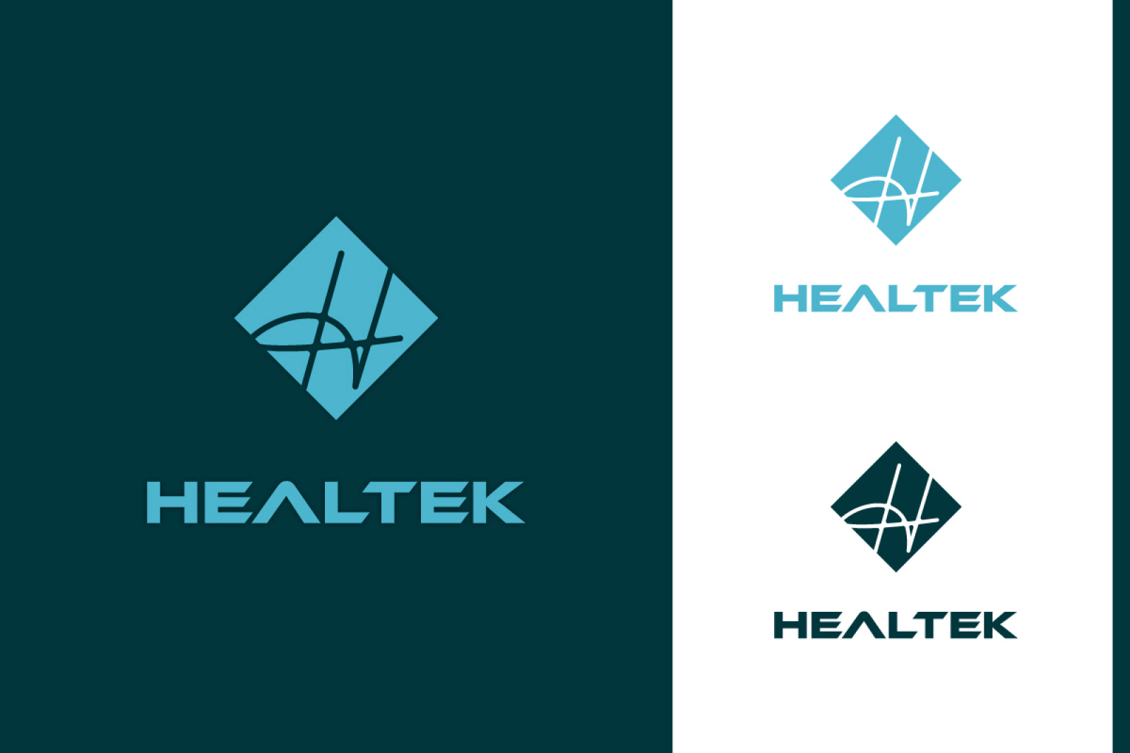Tasarlayan dcreagraph- sonuçlanan healtek markasına logo