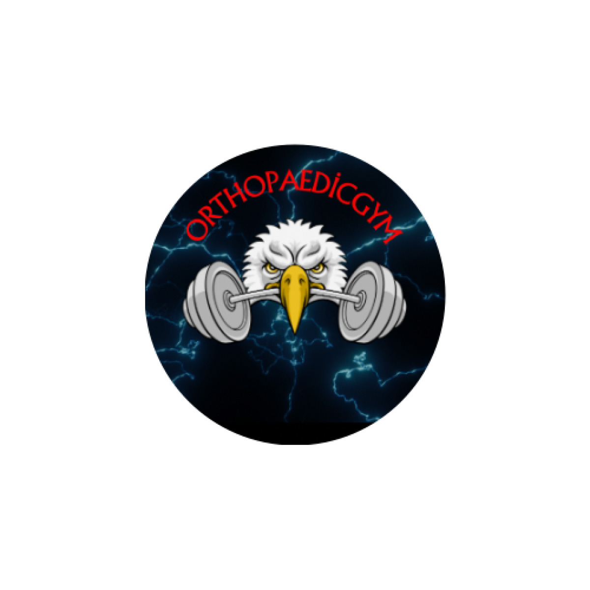 Tasarlayan Leonis-LOGO TASARIM