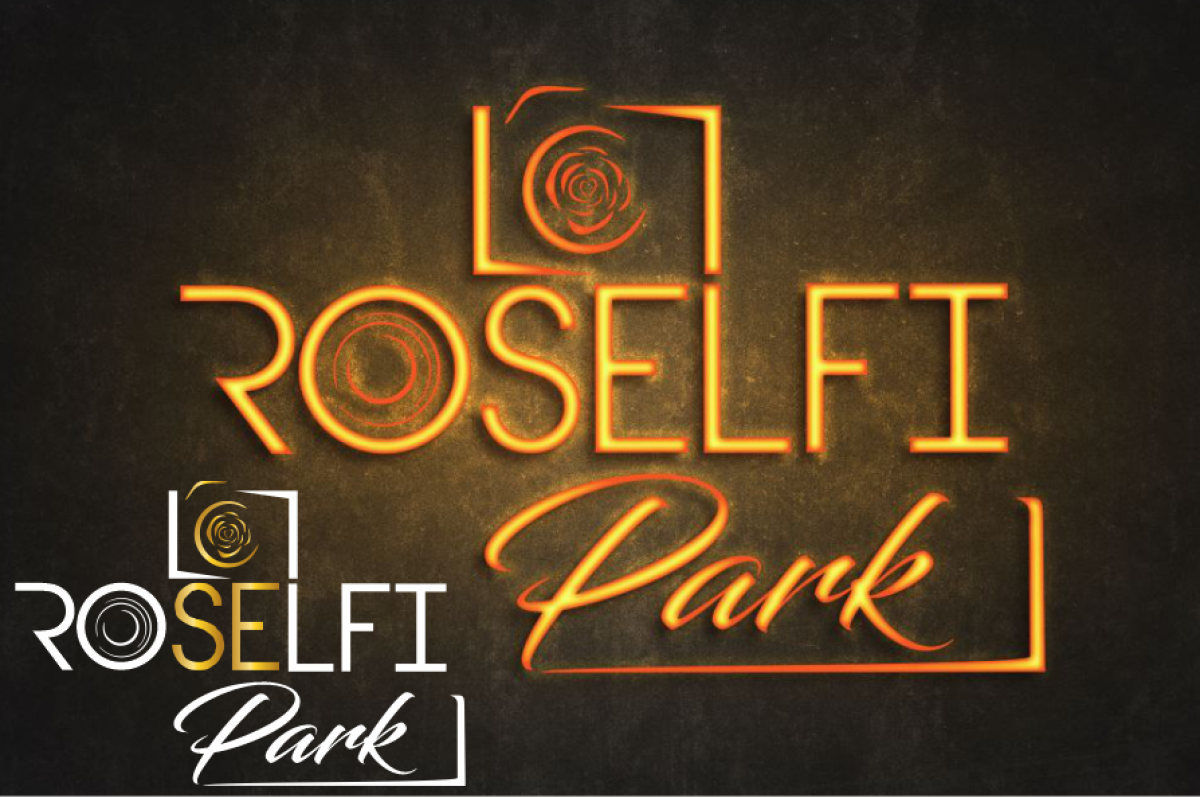 Tasarlayan DNG-ROSELFİ PARK SİZİN ELLERİNİZDE :)