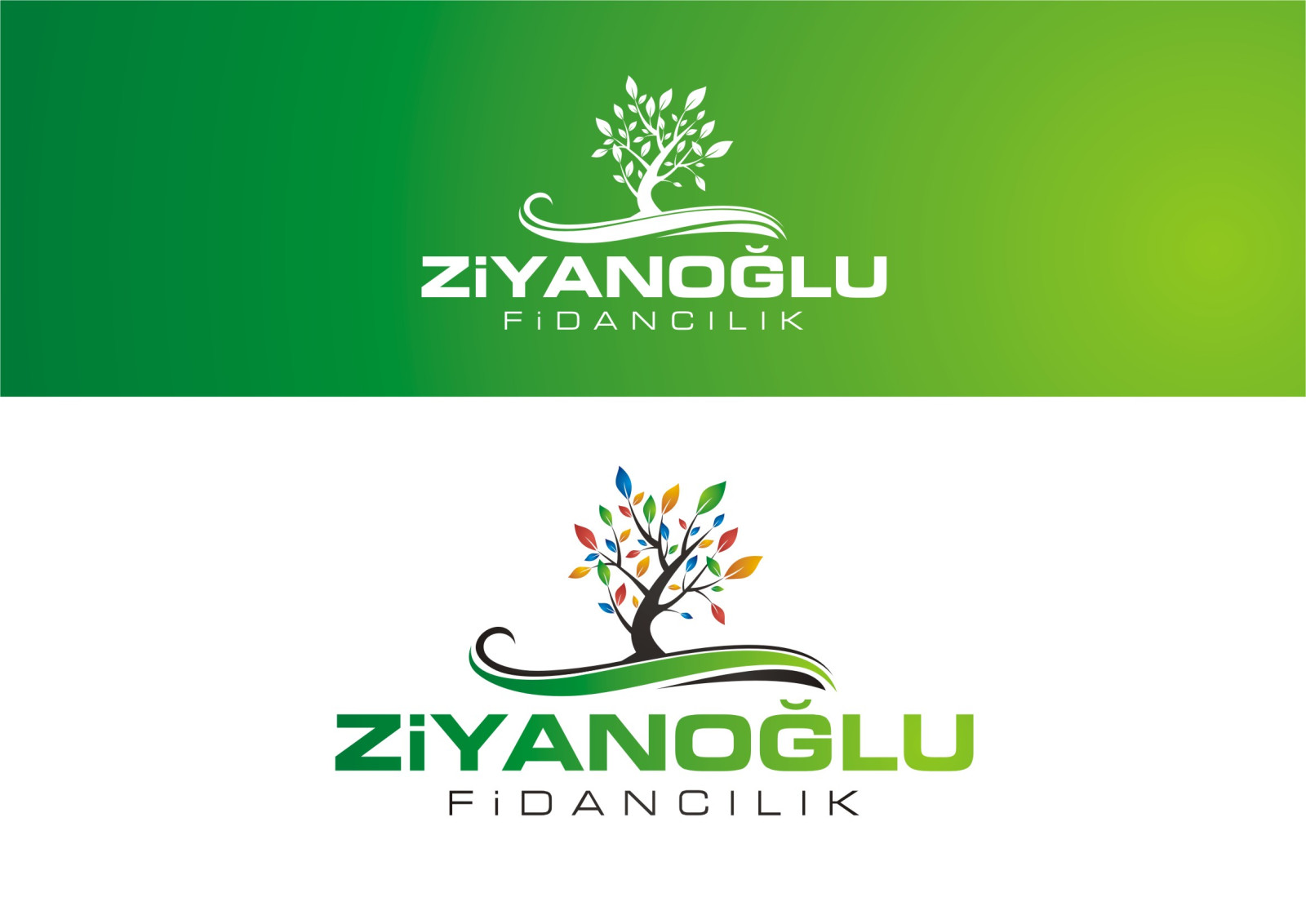 Tasarlayan RΛPİDO-GÜZEL,ESTETİK VE USTACA YAPILMIŞ