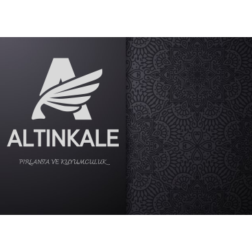 Kuyumcu/Pırlantacı Online Logo Tasarım yarışmasına tasarımcı Derune tarafından sunulan  tasarım 