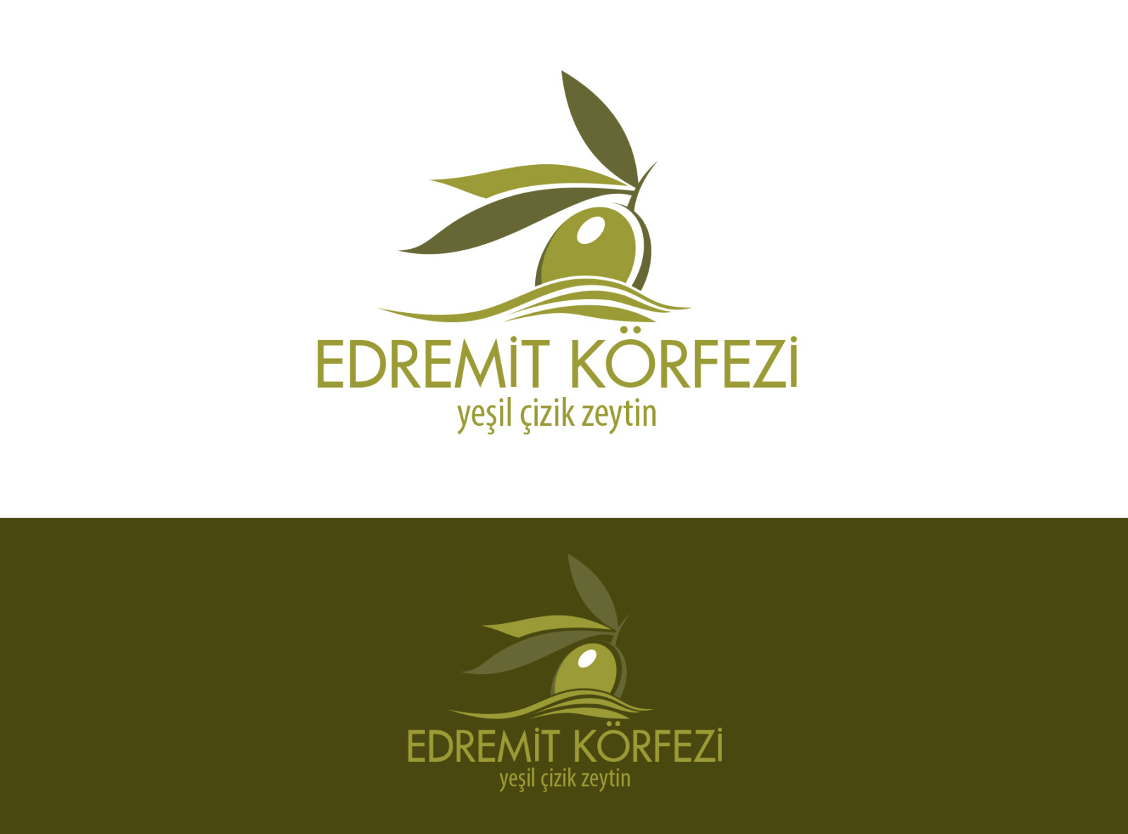 Tasarlayan nesli1-Edremit Körfezi Yeşil Çizik Zeytin