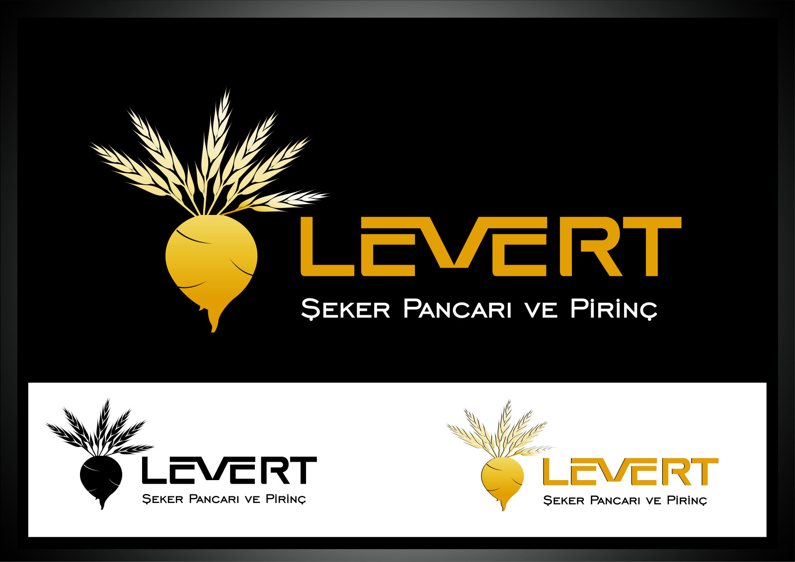 Tasarlayan msk_-Zarif ve Ciddi Logo Design
