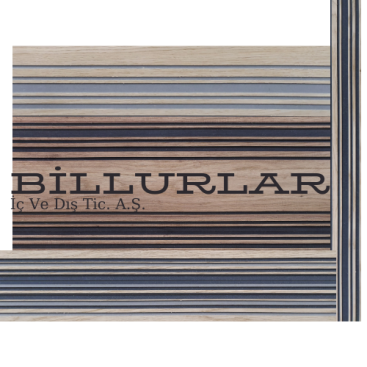 Orman ürünleri alanında kurumsal logo yarışmasına tasarımcı MüneVVer Tekin tarafından sunulan  tasarım 