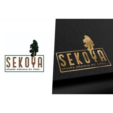 Lüks ahşap yarışmasına tasarımcı Bolinat tarafından sunulan  tasarım 