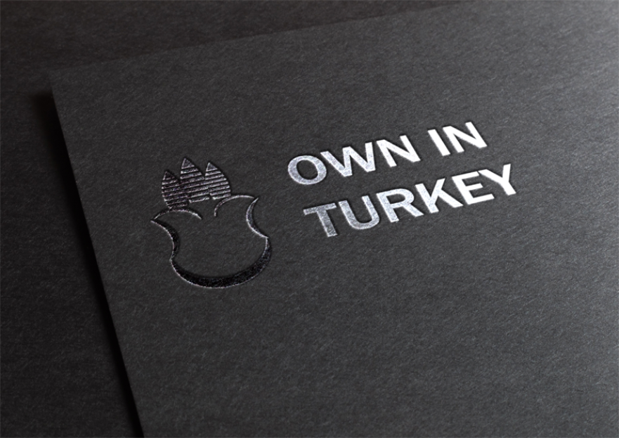 Own In Turkey için Logo yarışmasına tasarımcı Bence tarafından sunulan  tasarım 