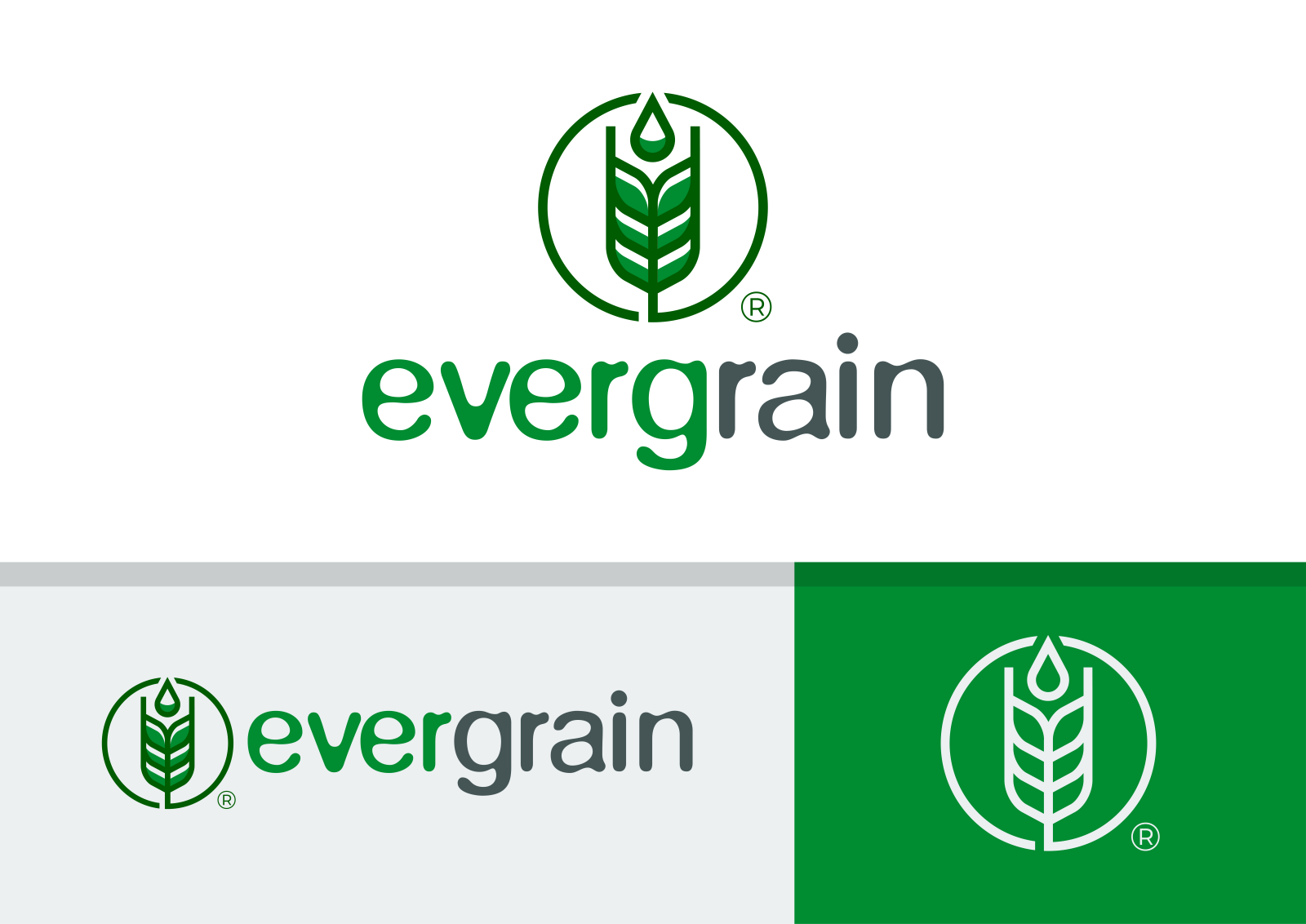 Tasarlayan MS™-EverGrain LLC