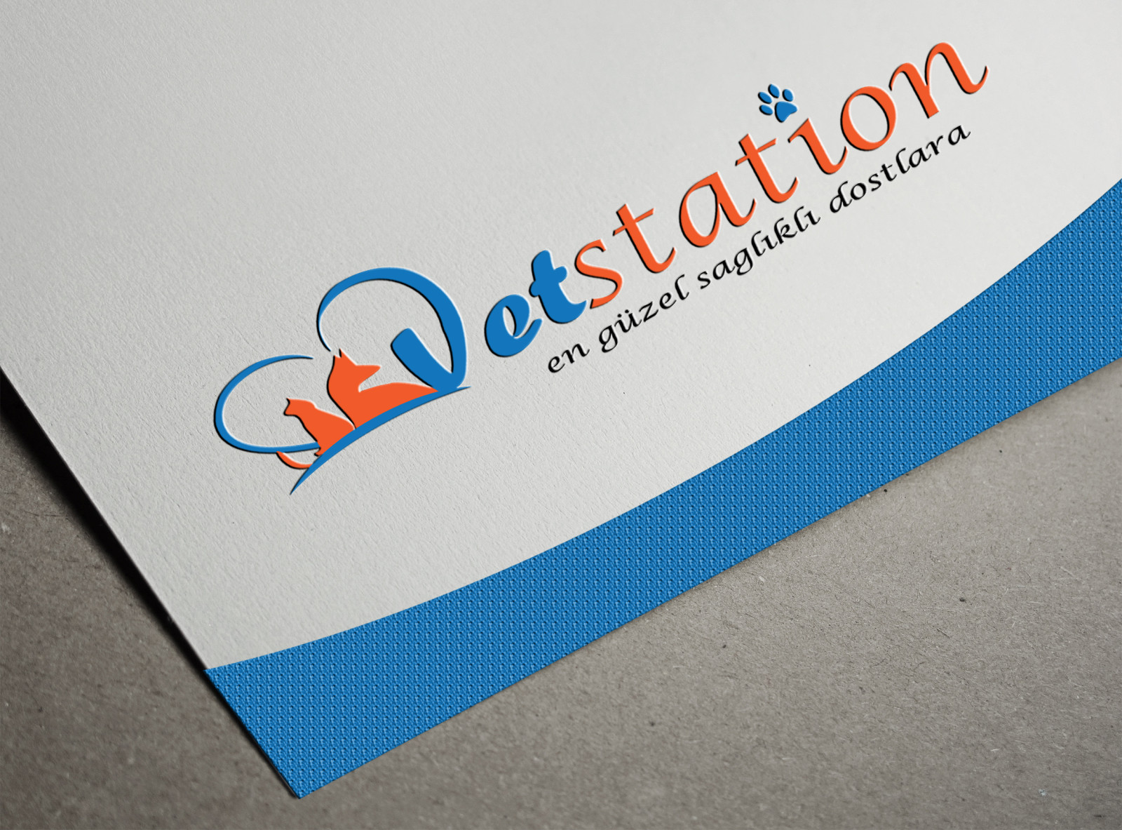 Tasarlayan dream_design-VET STATION VETERİNER KLİNİĞİ   LOGO 