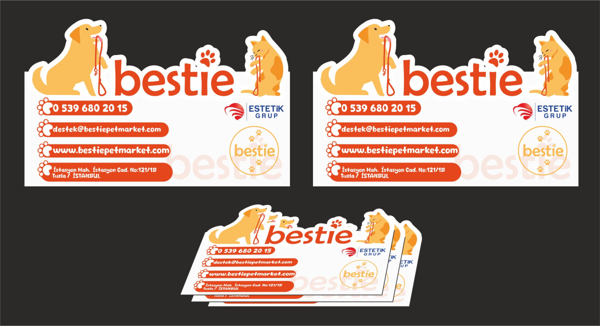 Tasarlayan Şilan-Bestie Markamız için kurumsal kartvizit 