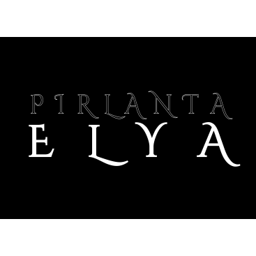 ELYA Pırlanta firması Logo tasarımı yarışmasına tasarımcı YSS tarafından sunulan  tasarım 