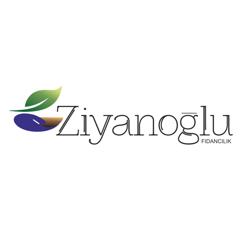 GÜZEL,ESTETİK VE USTACA YAPILMIŞ yarışmasına trgyduran tarafından girilen tasarım