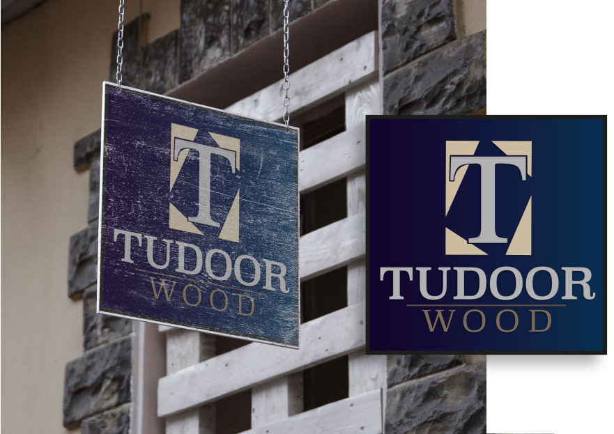 Tudoor logo tasarımı  yarışmasına tasarımcı Shadow tarafından sunulan  tasarım 