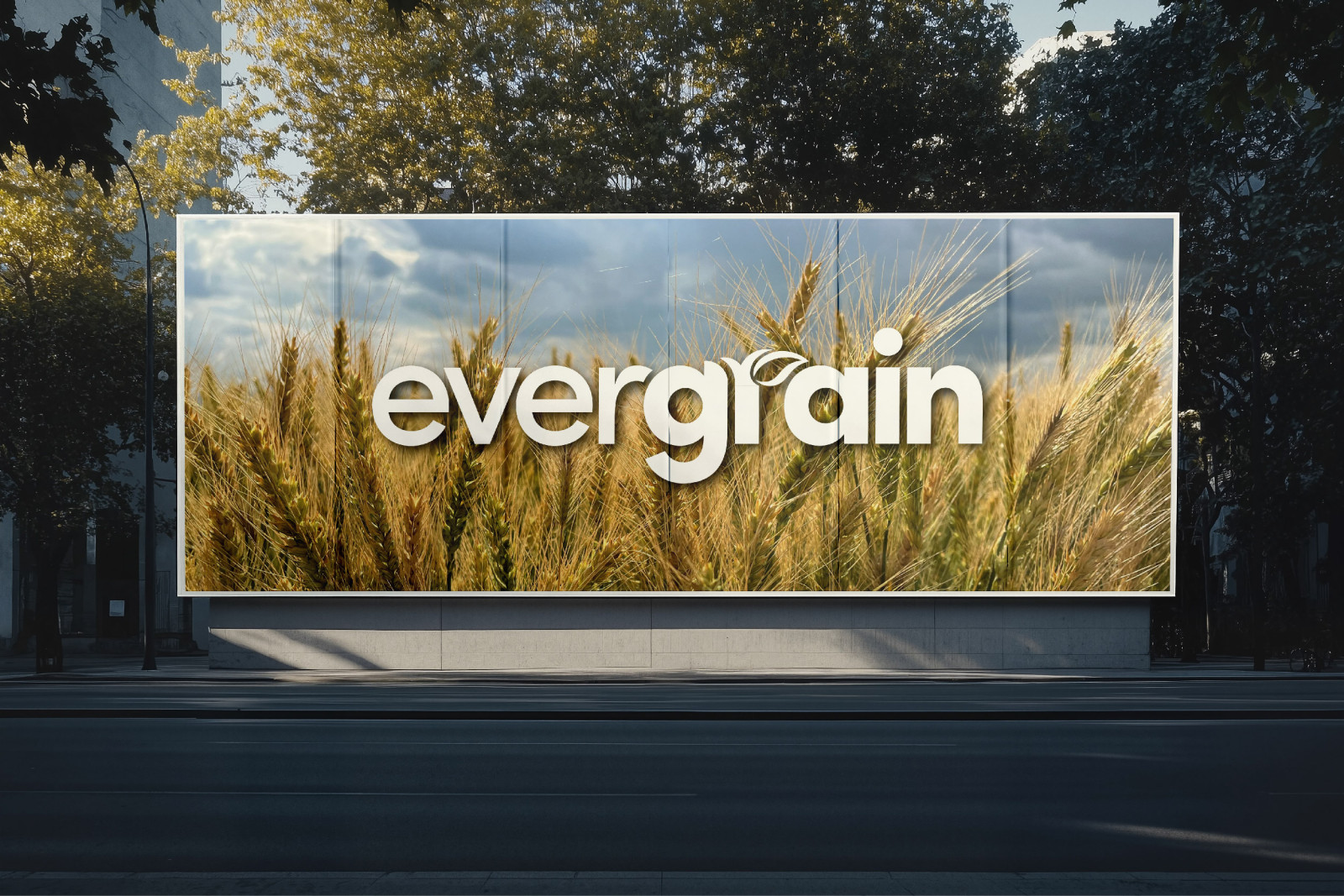 Tasarlayan mervetsoglu-EverGrain LLC