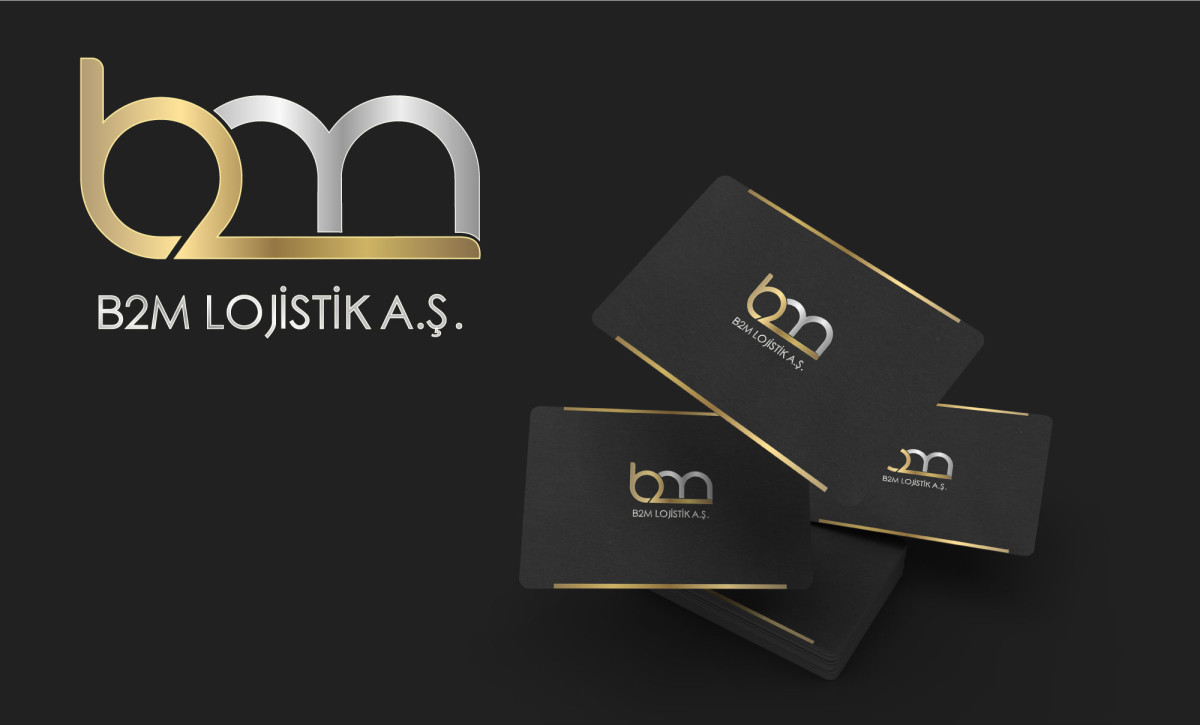 Tasarlayan Graffin_Bey-Lojistik şirketi kurumsal+logo 