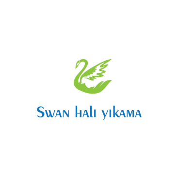 HALI YIKAMA FİRMASI LOGOSUNU ARIYOR yarışmasına tasarımcı Kalem tarafından sunulan  tasarım 