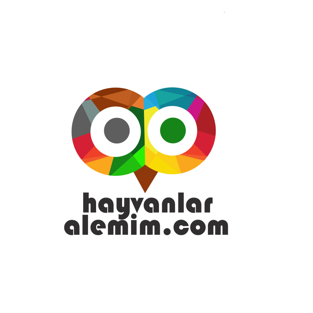 Hayvanlara Dair Herşey !!!  yarışmasına Ferhatdr tarafından girilen tasarım