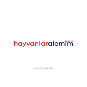 Hayvanlara Dair Herşey !!!  yarışmasına tasarımcı Ographic tarafından sunulan  tasarım 