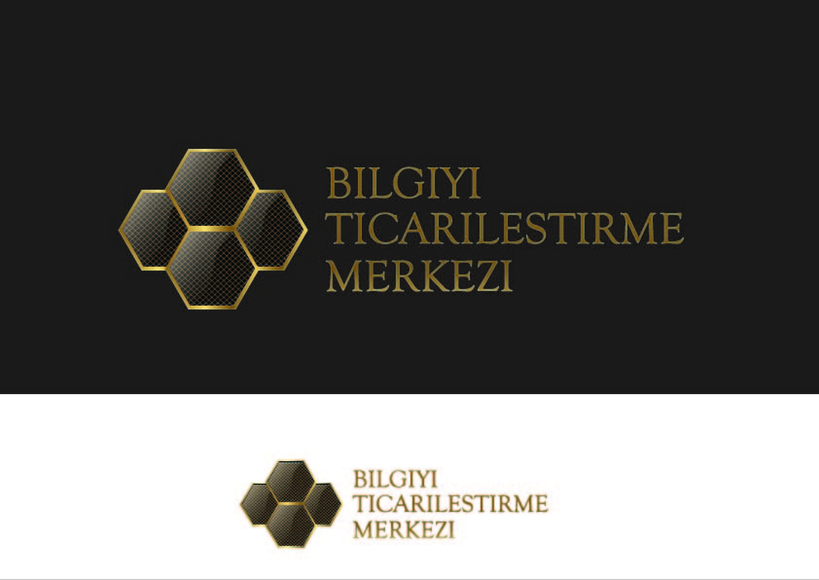 Tasarlayan Hancı-GİRİŞİMCİLİK MERKEZİ İÇİN FARK YARAT