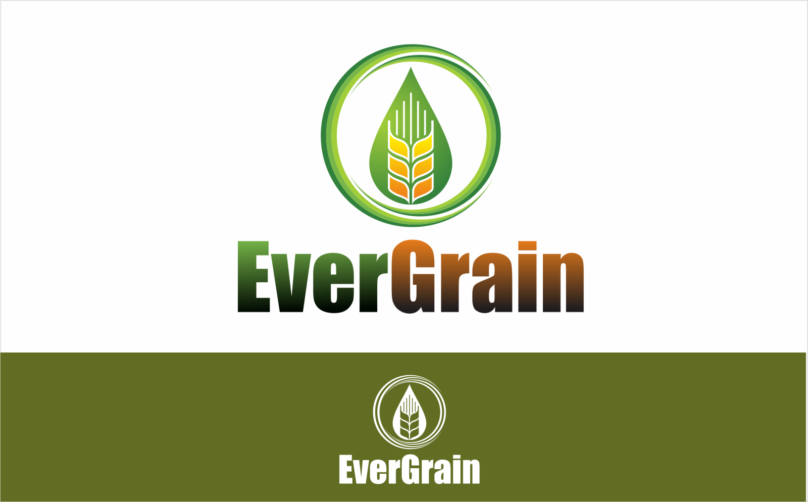 Tasarlayan ErcanH-EverGrain LLC
