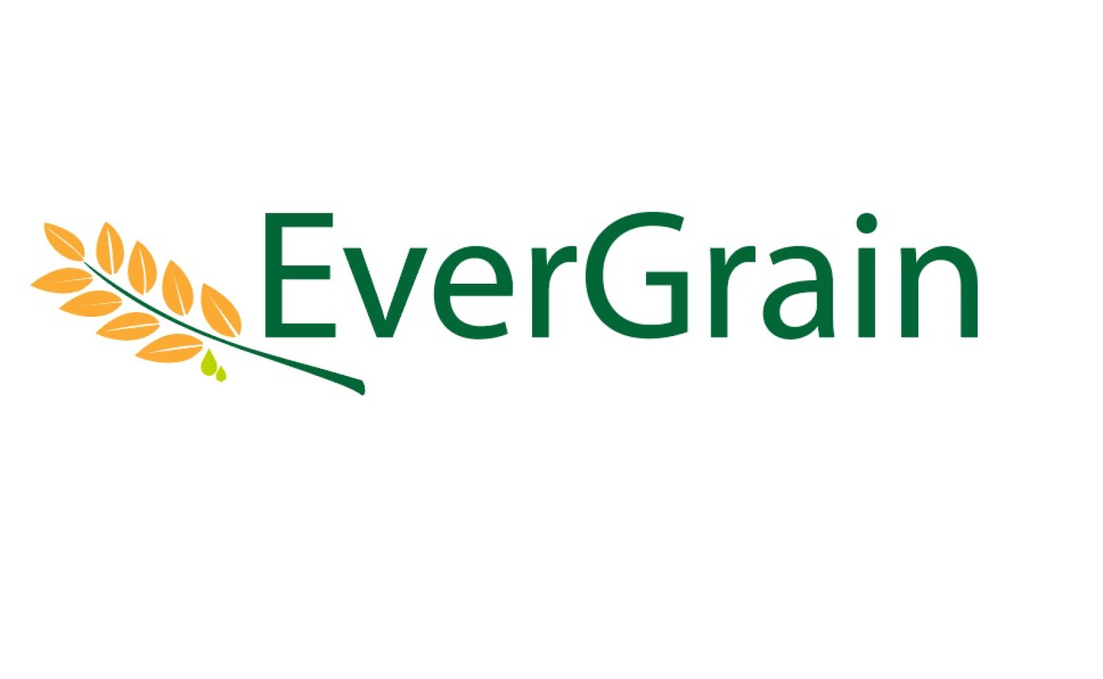 Tasarlayan mbeyzap-EverGrain LLC