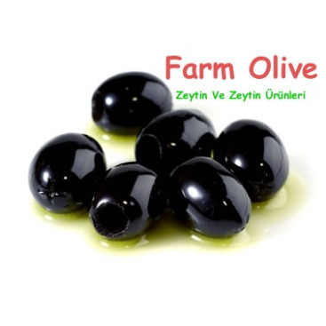 Zeytin ve Zeytin Ürünleri İçin Logo yarışmasına tasarımcı Volkan_Kara tarafından sunulan  tasarım 