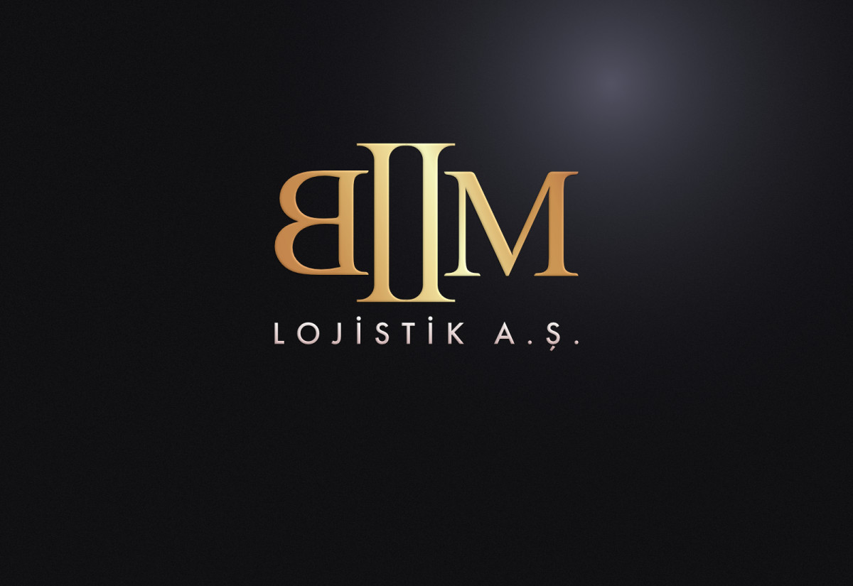 Tasarlayan Dyzyn-Lojistik şirketi kurumsal+logo 