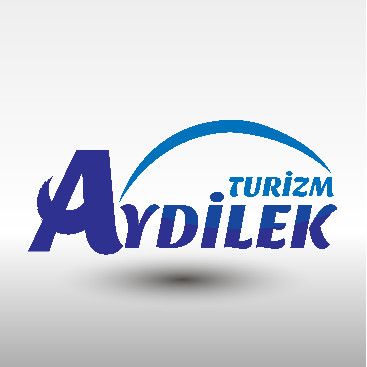 TURİZM TAŞIMA FİRMAMIZA LOGO VE KURUMSAL yarışmasına tasarımcı Phoenix tarafından sunulan  tasarım 