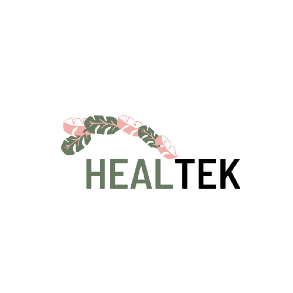 Tasarlayan Roma- sonuçlanan healtek markasına logo