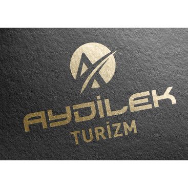 TURİZM TAŞIMA FİRMAMIZA LOGO VE KURUMSAL yarışmasına tasarımcı siliconvalley tarafından sunulan  tasarım 