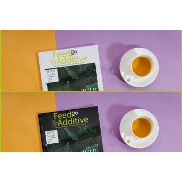 Dergi Logosu Tasarımı yarışmasına tasarımcı comlektegrafik tarafından sunulan  tasarım 