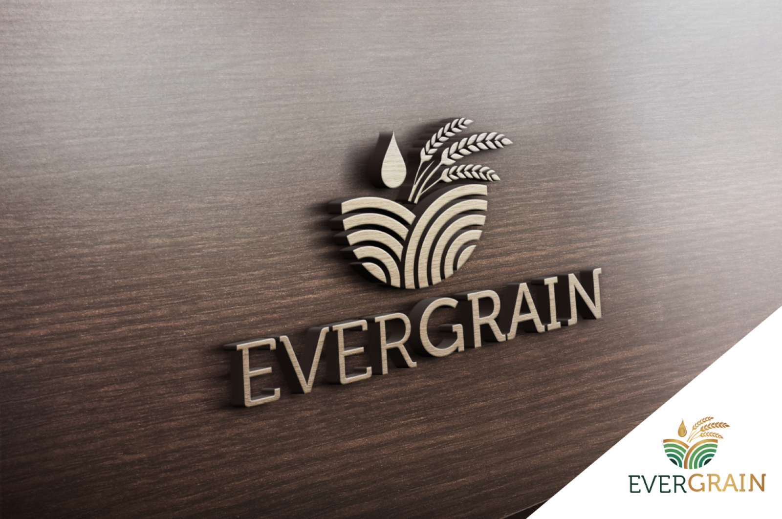 Tasarlayan GCLONR-EverGrain LLC