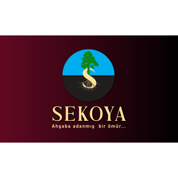 Lüks ahşap yarışmasına tasarımcı izdüsümü tarafından sunulan  tasarım 