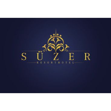 4 YILDIZLI HOTEL İÇİN LOGO ÇALIŞMASI yarışmasına tasarımcı filizzz! tarafından sunulan  tasarım 
