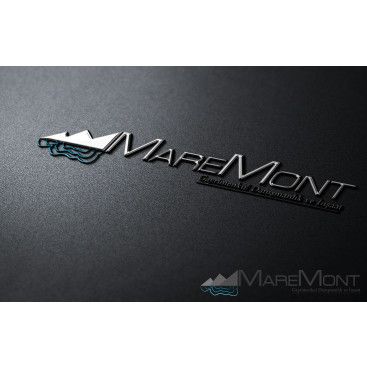 Firma İçin Logo ve Kartvizit Çalışması  yarışmasına tasarımcı malik42 tarafından sunulan  tasarım 