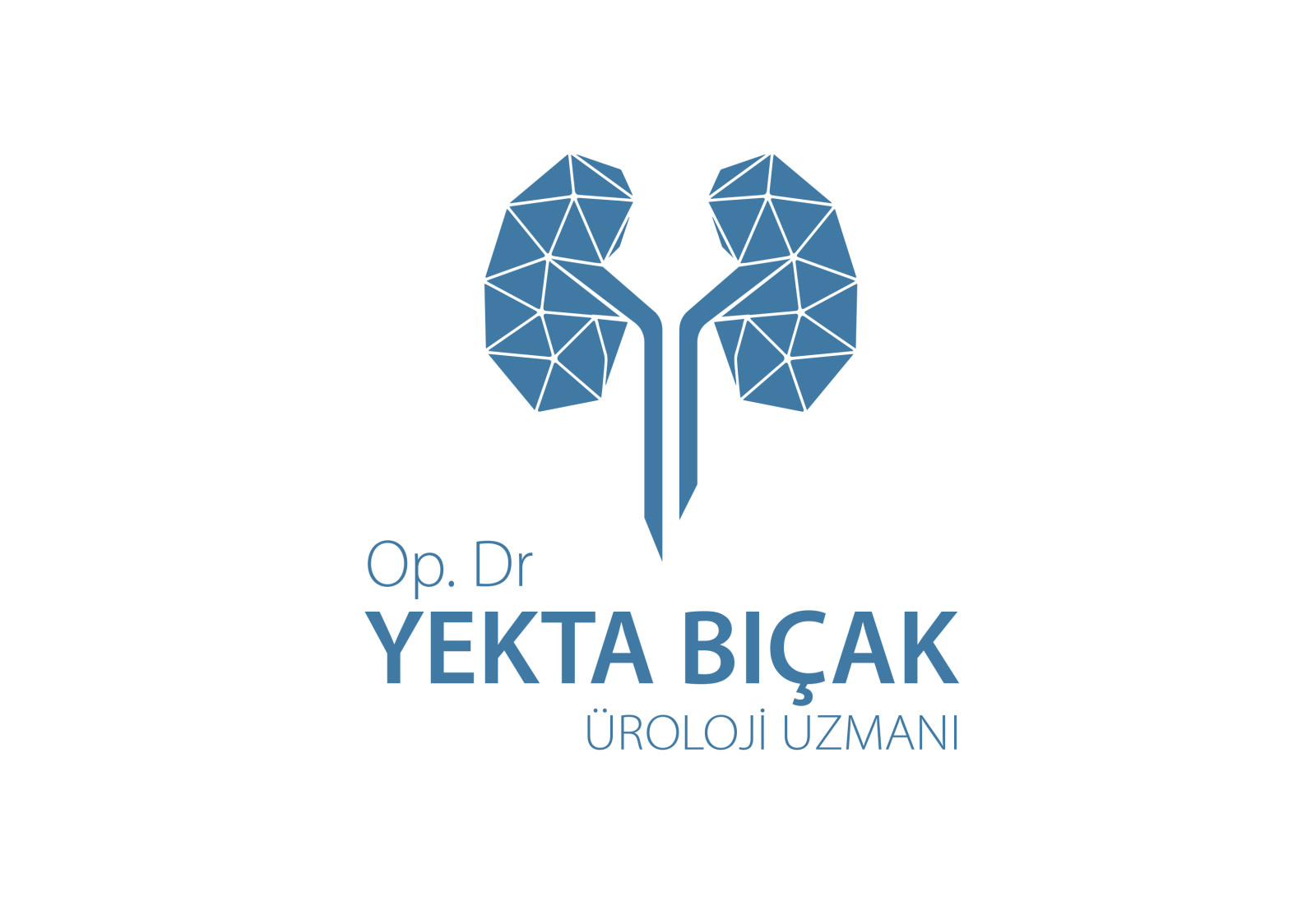 Tasarlayan LogoExper-ÜROLOJİ UZMANI-OP.DR.YEKTA BIÇAK
