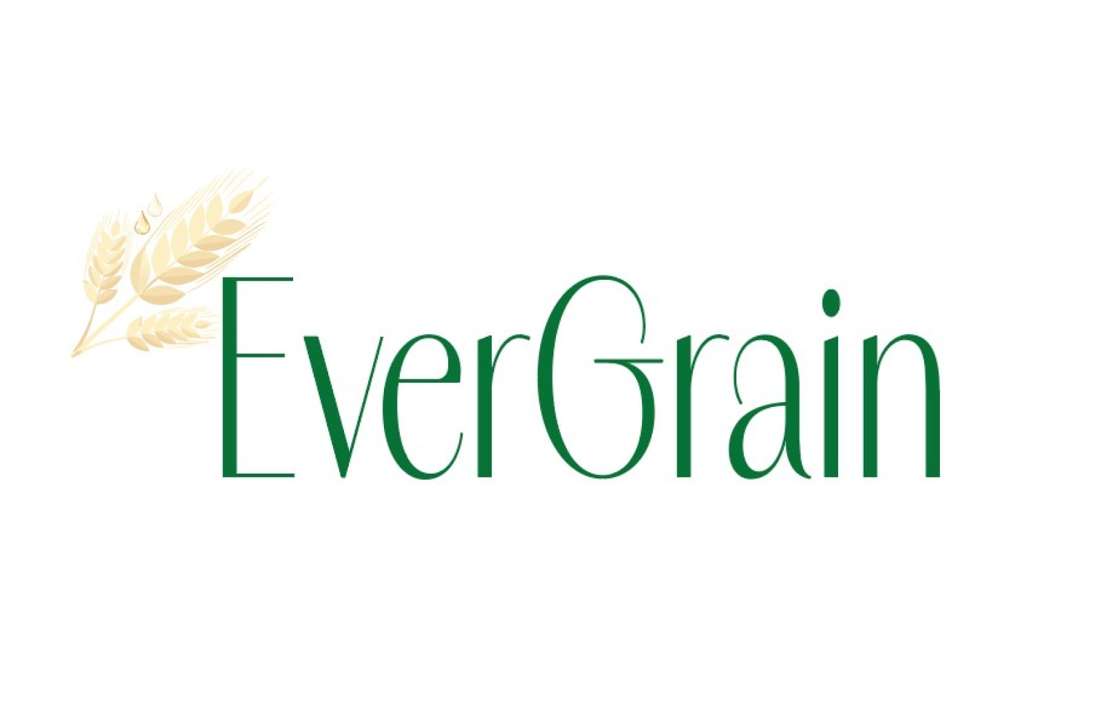 Tasarlayan mbeyzap-EverGrain LLC