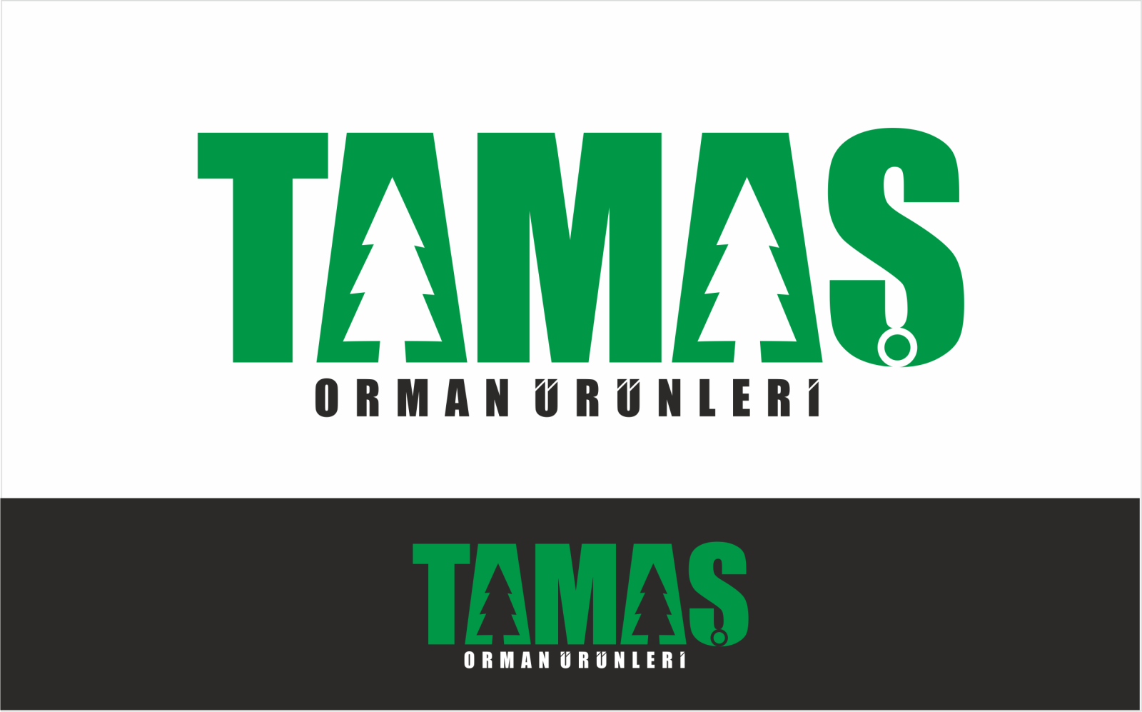 Tasarlayan ErcanH-Avrupa standardında modern Palet Logosu