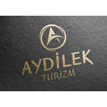 TURİZM TAŞIMA FİRMAMIZA LOGO VE KURUMSAL yarışmasına tasarımcı siliconvalley tarafından sunulan  tasarım 