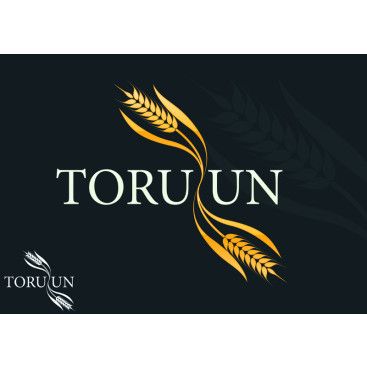 UN FABRİKAMIZ İÇİN LOGO ARIYORUZ yarışmasına tasarımcı bitlikedipisfare tarafından sunulan  tasarım 