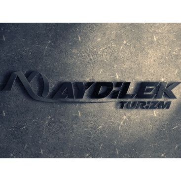 TURİZM TAŞIMA FİRMAMIZA LOGO VE KURUMSAL yarışmasına tasarımcı Kızılelma_03 tarafından sunulan  tasarım 