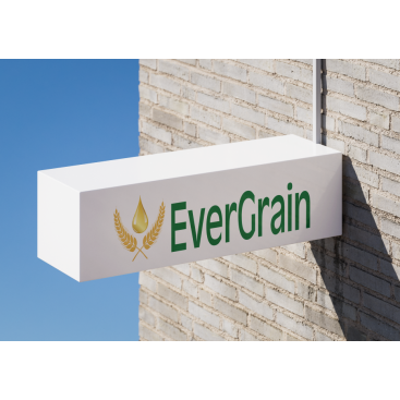EverGrain LLC yarışmasına tasarımcı mbeyzap tarafından sunulan  tasarım 