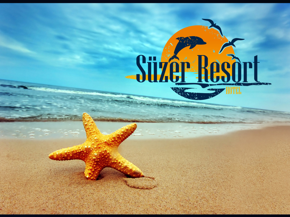 Tasarlayan g-barkin-nazli-4 YILDIZLI HOTEL İÇİN LOGO ÇALIŞMASI