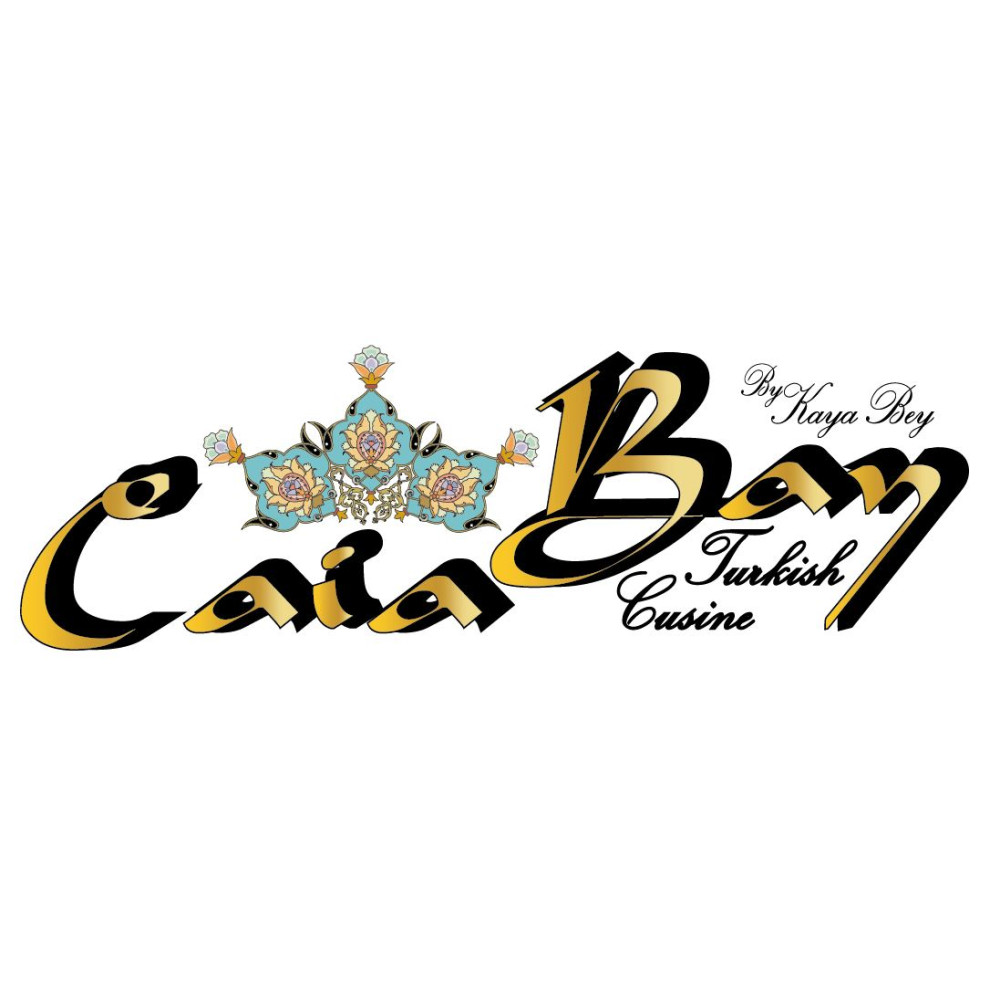 MODERN ŞIK BİR LOGO ARIYORUZ