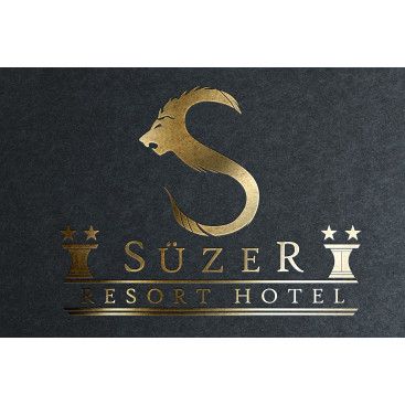 4 YILDIZLI HOTEL İÇİN LOGO ÇALIŞMASI yarışmasına tasarımcı X66 tarafından sunulan  tasarım 