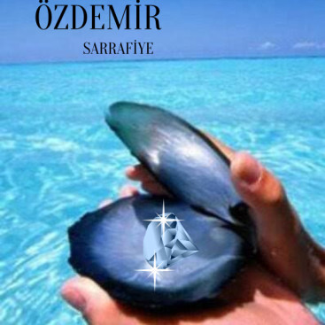 Özdemir sarrafiye yarışmasına tasarımcı 250500 tarafından sunulan  tasarım 