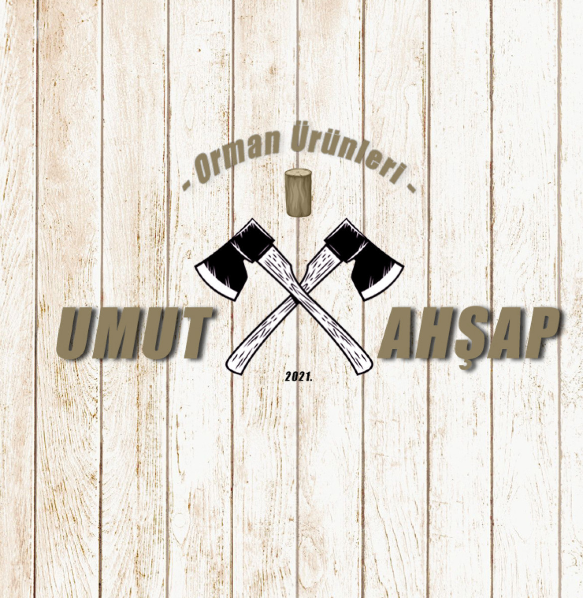 Tasarlayan mertbozdemir-ilk logo ilk tasarım