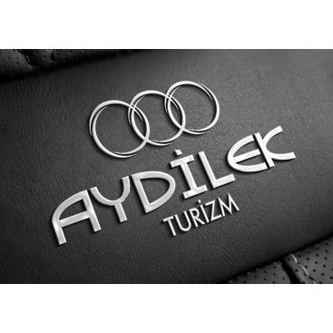 TURİZM TAŞIMA FİRMAMIZA LOGO VE KURUMSAL yarışmasına tasarımcı siliconvalley tarafından sunulan  tasarım 