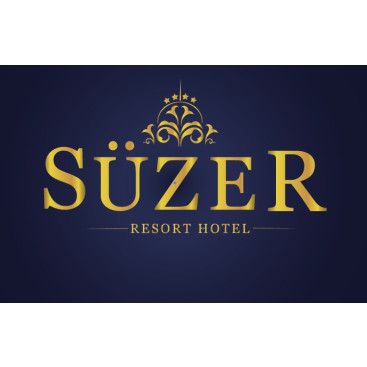 4 YILDIZLI HOTEL İÇİN LOGO ÇALIŞMASI yarışmasına tasarımcı filizzz! tarafından sunulan  tasarım 